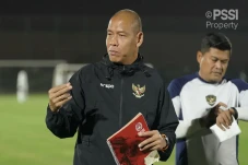 Nova Arianto: Pemain...