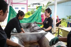 PEP Jambi-Lapas Perempuan...