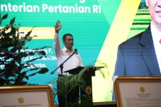 Kolaborasi dengan BUMN...