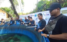 WMI dan Korporasi Kolaborasi...