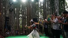 Meranti Putih Performance...