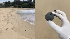 Ilmuwan Berhasil Ungkap...