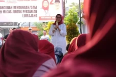Pilkada Lumajang, Indah...