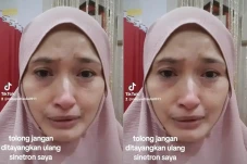 Profil Mega Aulia, Mantan...