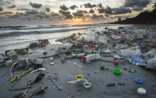 World Plastics Council...