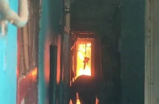 Kebakaran Melanda Rawa...