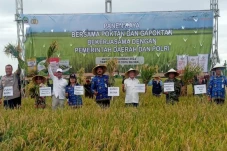 Panen Perdana di Cepu,...