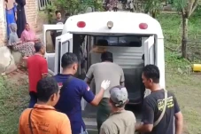 Anak Durhaka Bunuh Ayah...