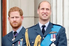 Pangeran William dan...