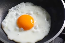 Apakah Kuning Telur...