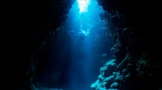 Penemuan Predator Laut...