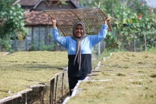 Dulu Terdampak PHK,...