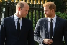 Pangeran Harry dan William...