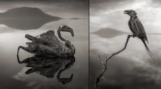 Mitos Danau Natron di...