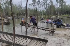 Pengamat Sebut Klaim...