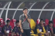 Perjalanan Karier Shin...
