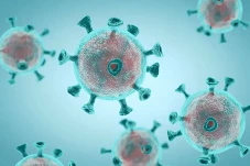 Virus HMPV Terdeteksi...