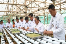 Wujudkan Ketahanan Pangan,...