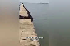 KKP Tegaskan Pemagaran...