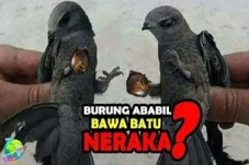 Kisah Burung Ababil...