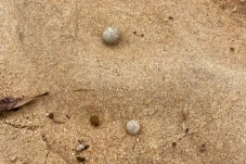 9 Pantai Ditutup Gara-gara...