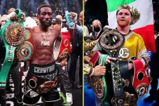 Canelo vs Terence Crawford...