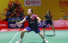 Sikat Unggulan 3, Rinov/Lisa...