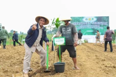 Mentan Amran dan Menhut...