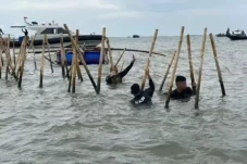 Kasus Pagar Laut Tangerang,...