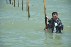 TNI AL Ungkap Progres...
