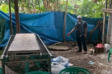 Pelaku Pembunuhan Wanita...