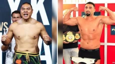 Zhang Zhilei vs Agit...