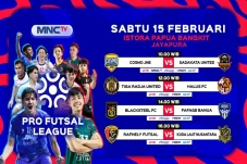 Pro Futsal League 2025:...