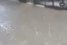 Diguyur Hujan, Sejumlah...