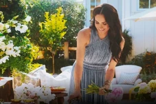 Berapa Bayaran Meghan...