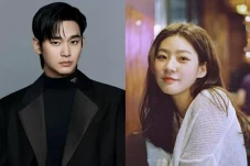 Kim Soo Hyun Pernah...
