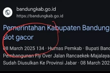 Website Resmi Pemkab...