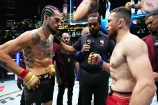 Merab Dvalishvili vs...