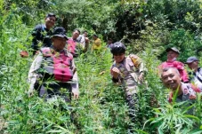 Ladang Ganja di TNBTS...