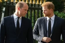 Pangeran William Ancam...