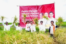 Panen Perdana, Rembuk...