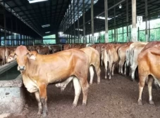 Sambut Perubahan Regulasi,...