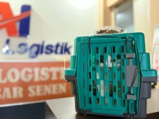 Mudik Bawa Hewan Peliharaan...