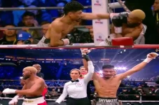 Hasil Tinju Dunia: Sultan...
