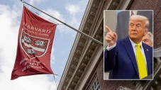 Harvard dan Lebih dari...