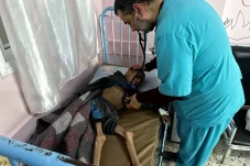 Pemerintah Gaza Peringatkan...