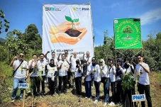 PLN Icon Plus dan PNM...
