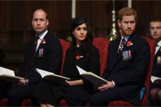 Pangeran William Tak...