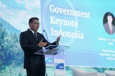 Surplus Beras, Wamentan...