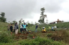 Petani Pandai Sikek...